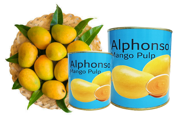 Alphonso Mango Pulp Manufacturers