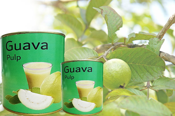 Guava Pulp Exporters in India ​