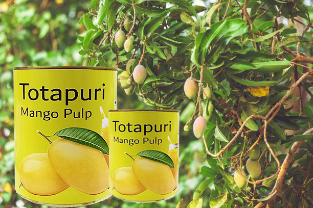 Totapuri Mango Pulp Exporters in India